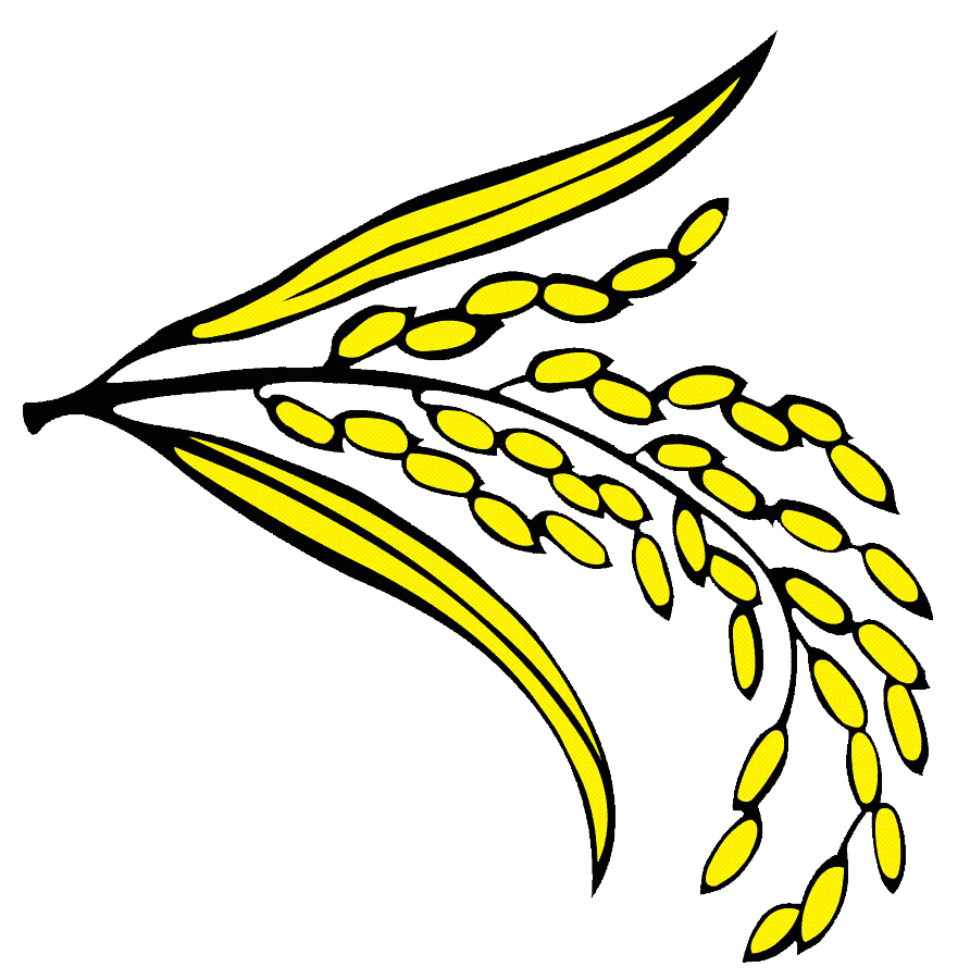 পতাকা ঈগল